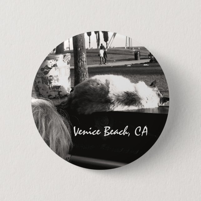 Piano Cat Venice Beach California Photography Button (Front)