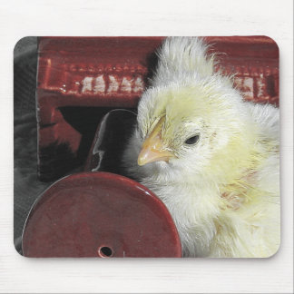 Piano Chick Vintage Look Photo Mouse Pad