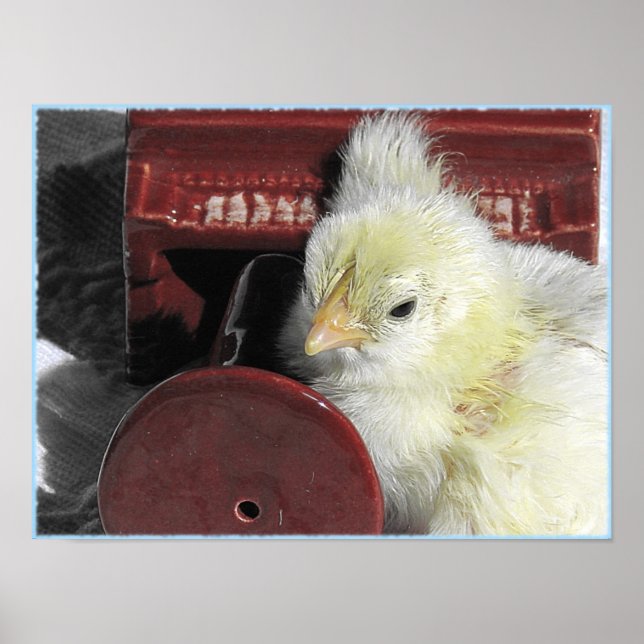 Piano Chick Vintage Look Photo Poster (Front)