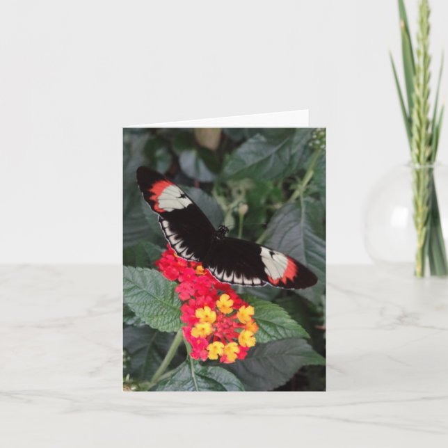 Piano Key Butterfly Notecard (Front)