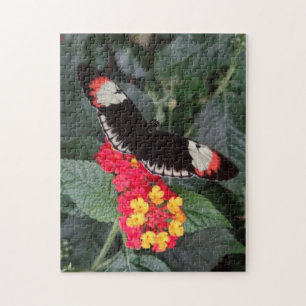 Piano Key Butterfly Puzzle