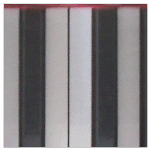 Piano Keyboard Fabric