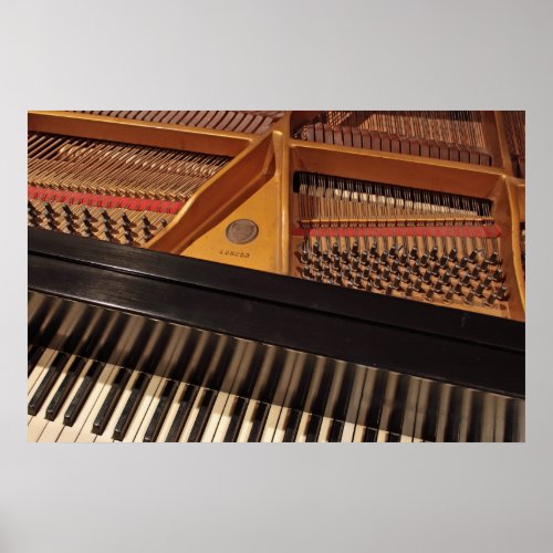 Piano Keys and Pinblock Poster