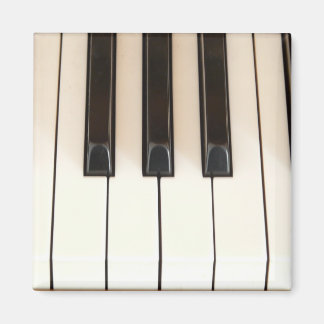 Piano Keys Magnet