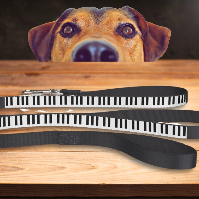 Piano Keys Music Keyboard Musical Instrument Dog Pet Leash (A stylish dog lead with piano keys pattern in classic black and white)