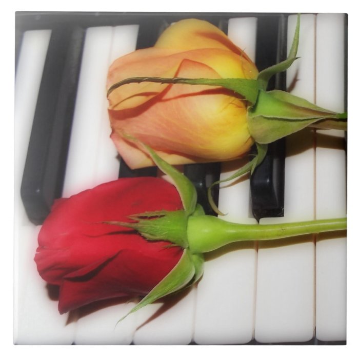 Piano keys  rose  tile