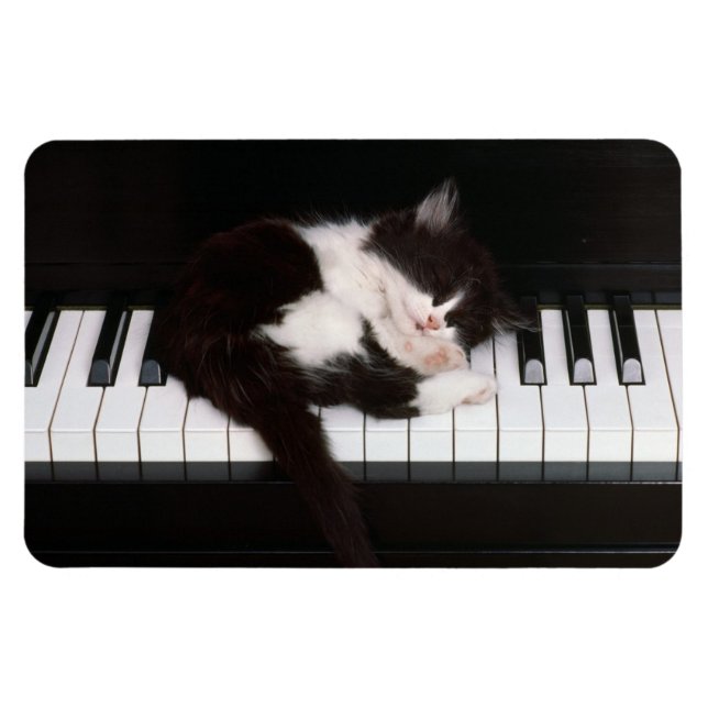 Piano Kitten Magnet (Horizontal)