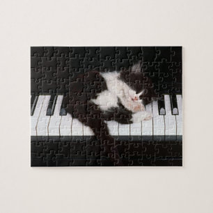 Piano Kitten Puzzle