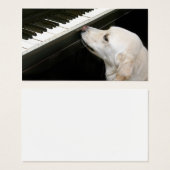 Piano lessons (Front & Back)