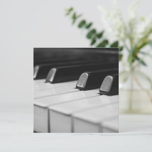 Piano macro closeup (Standing Front)