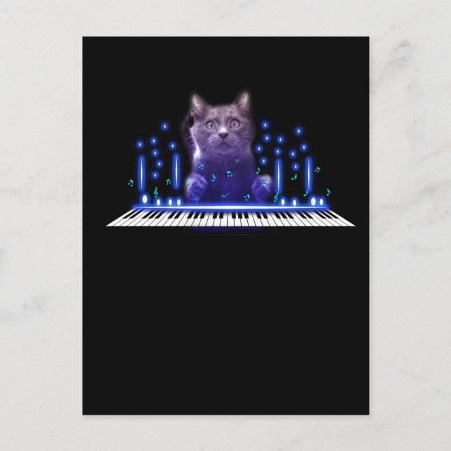 Piano Playing Cat Keyboard Kitten Cute Pet Postcard (Front)