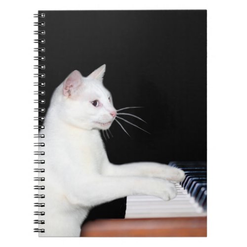 Piano playing cat notebook