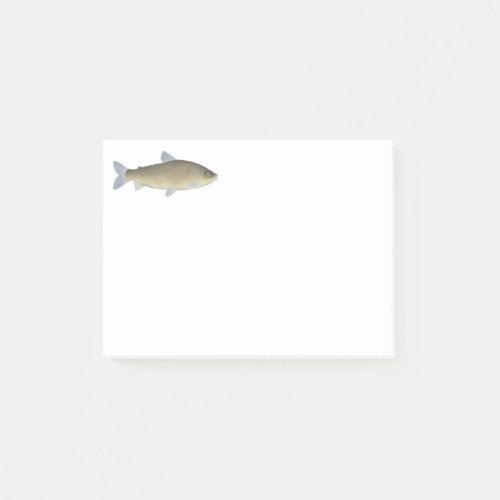 Piaussu Post-it Notes