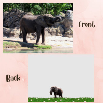 Pic Of An African Elephant Flat Card by CatsEyeViewGifts at Zazzle