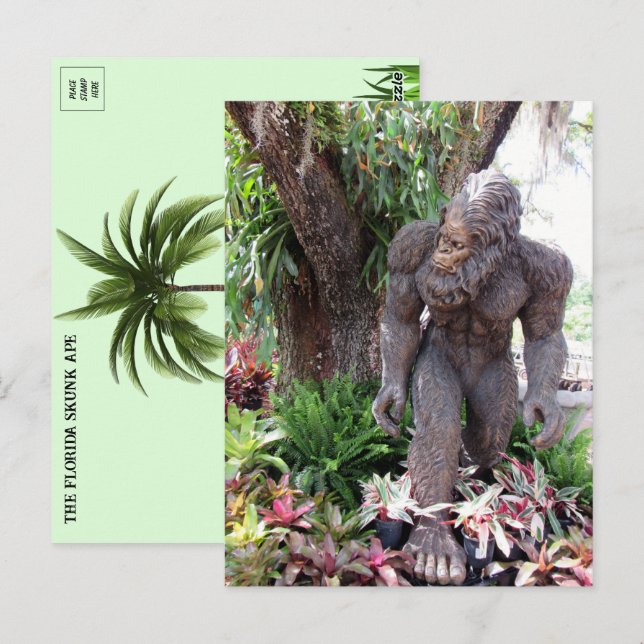 Pic of Florida Skunk Ape Postcard (Front/Back)