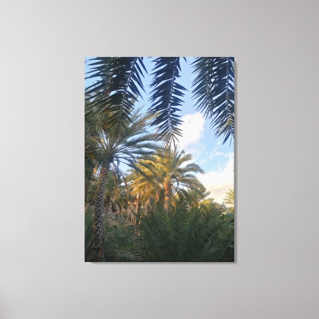 pic of palm tree  canvas print (Front)