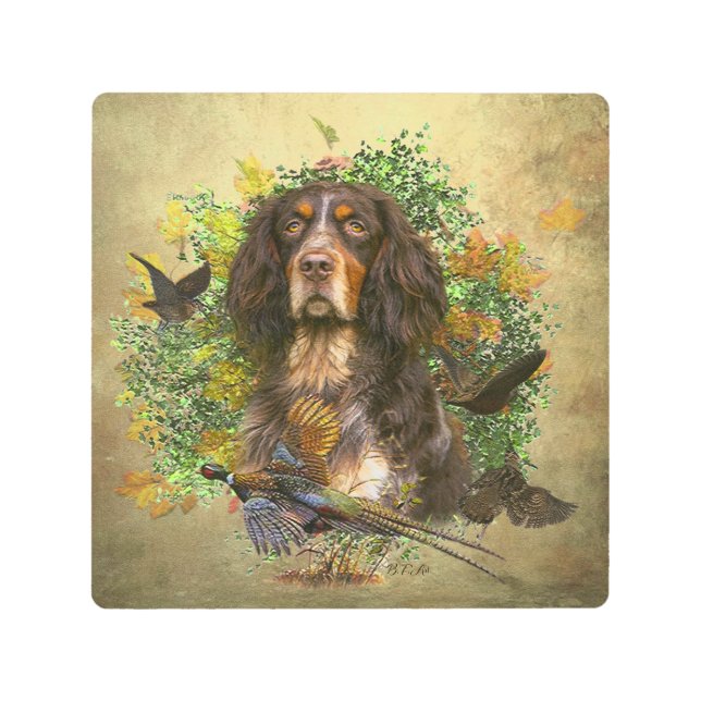 Picardy Spaniel , Hunting season  Metal Print (Front)
