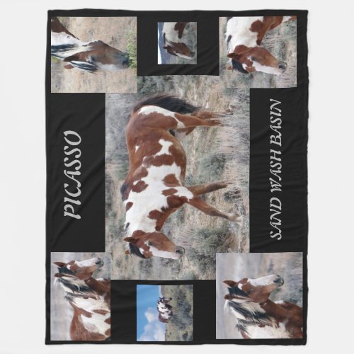 Picasso Icon of Sand Wash Basin  Colorado Fleece Blanket