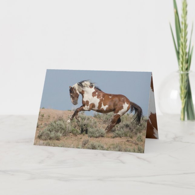 Picasso Leaps Wild Horse Greeting Card (Front)