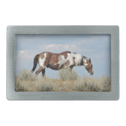 Picasso, Stallion of Sand Wash Basin, Colorado Belt Buckle