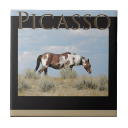 Picasso, Stallion of Sand Wash Basin, Colorado Tile
