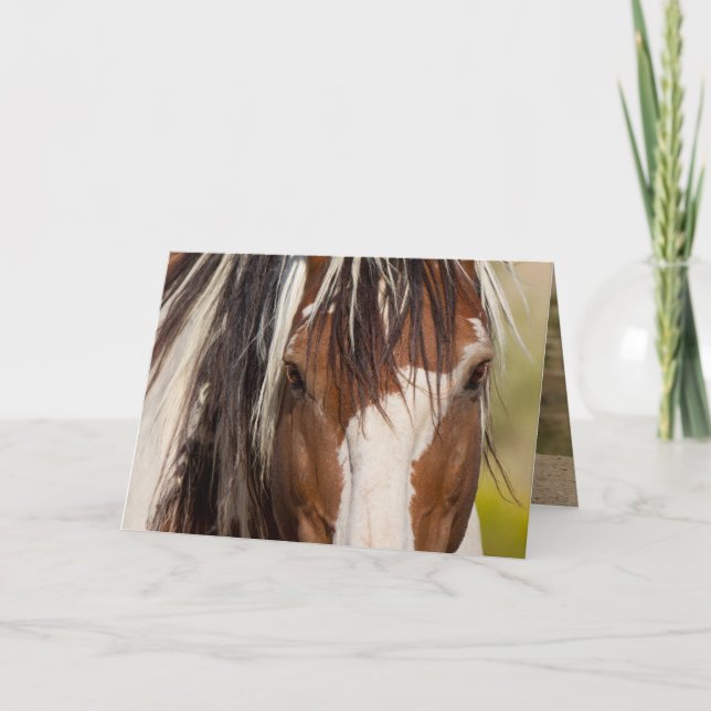 Picasso's Eyes Wild Horse Greeting Card (Front)