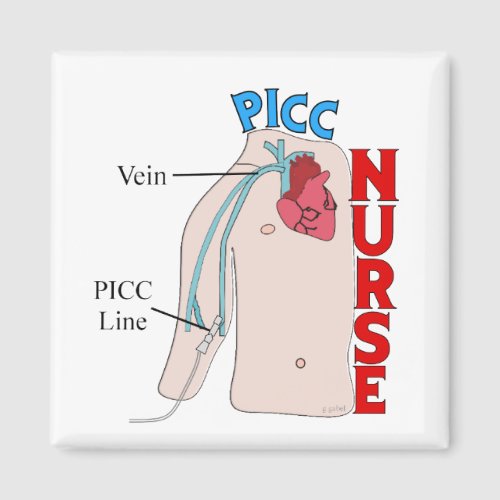 PICC Line Nurse Anatomical  Design Gifts Magnet