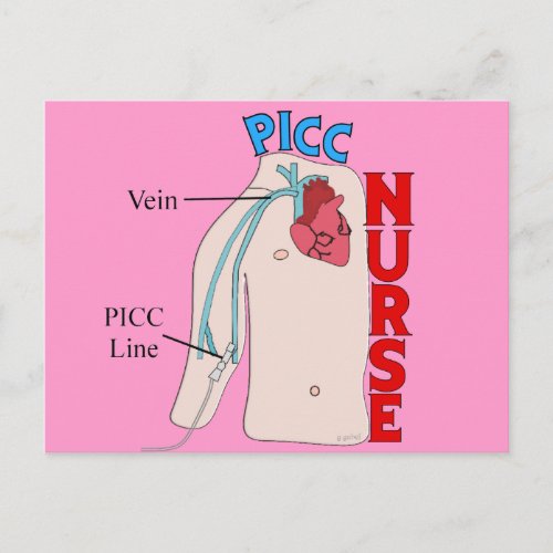 PICC Line Nurse Anatomical  Design Gifts Postcard