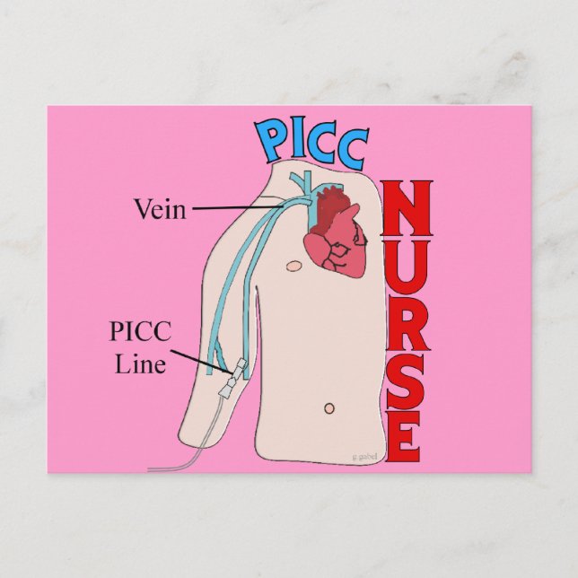 PICC Line Nurse Anatomical  Design Gifts Postcard (Front)