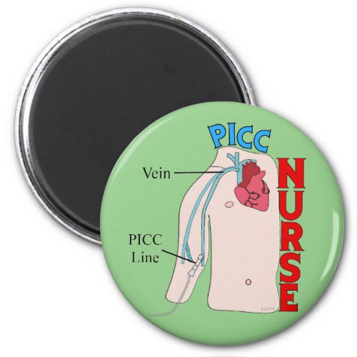 PICC Line Nurse Anatomical  Drawing  Magnet
