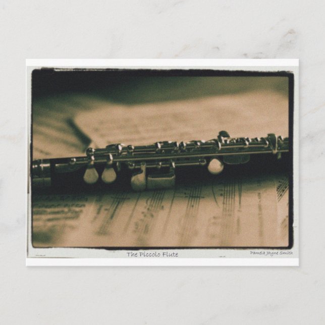 piccolo Flute 1839 Postcard (Front)