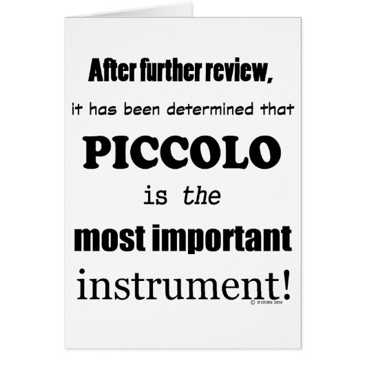 Piccolo Most Important Instrument (Front)
