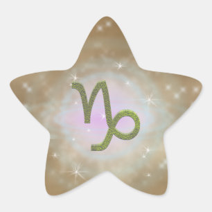 Pick Color Capricorn Zodiac Astrological Sign Star Sticker