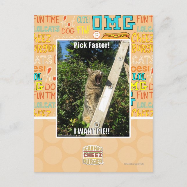 Pick Faster! Postcard (Front)