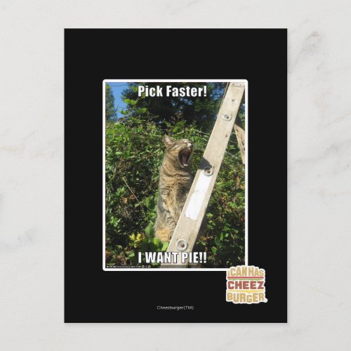 Pick Faster Postcard