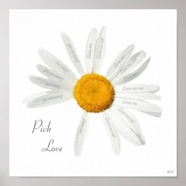 Pick Love Daisy Poster (Front)