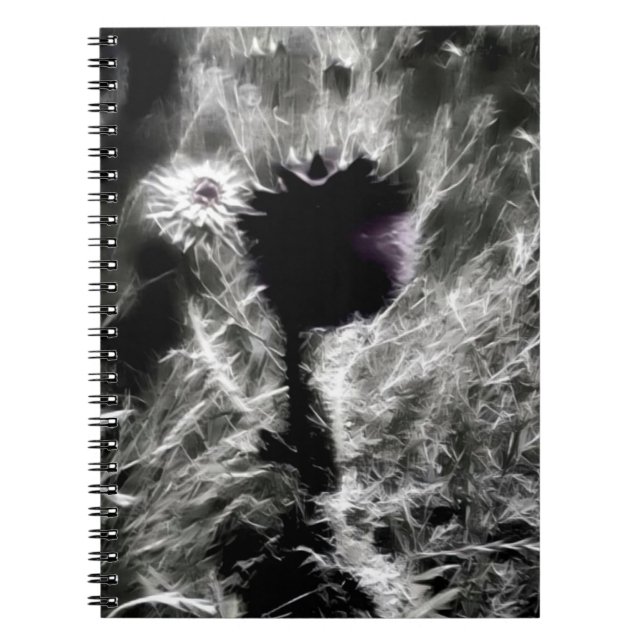 Pick Me Notebook (Front)