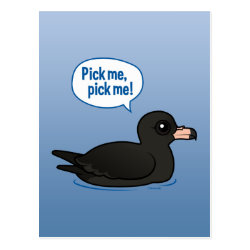 Pick me, pick me! Postcard