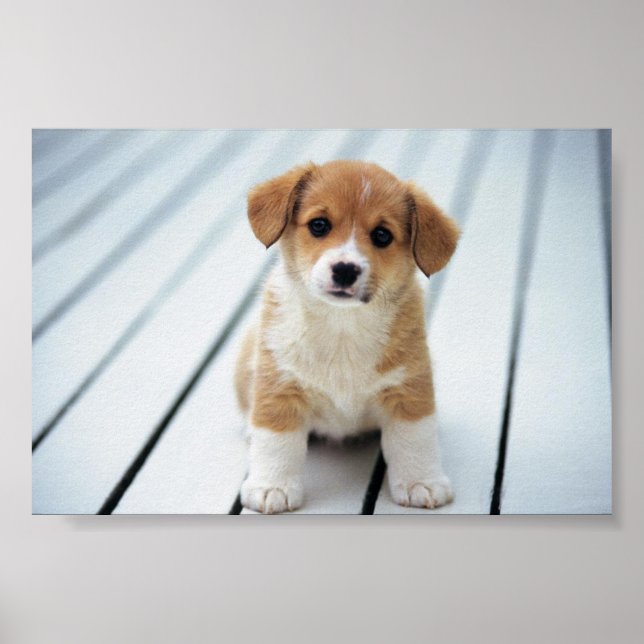 PICK ON SOMEONE YOUR OWN SIZE POSTER (Front)