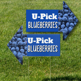 Pick Your Own Blueberries Arrow Shaped Sign