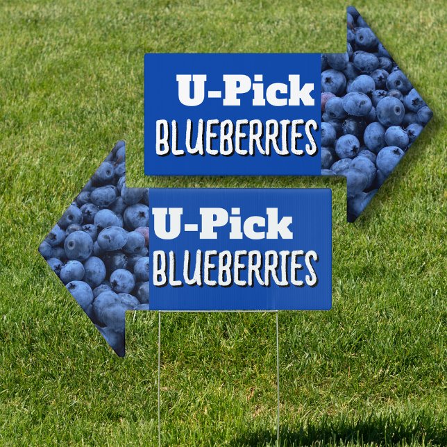 Pick Your Own Blueberries Arrow Shaped Sign (Creator Uploaded)