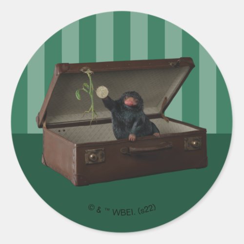 Pickett  Teddy in Briefcase Classic Round Sticker