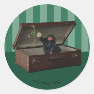 Pickett & Teddy in Briefcase Classic Round Sticker