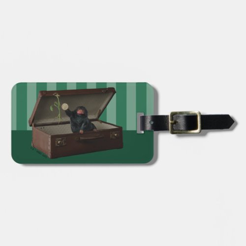 Pickett  Teddy in Briefcase Luggage Tag