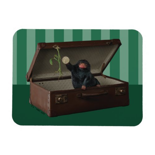 Pickett  Teddy in Briefcase Magnet