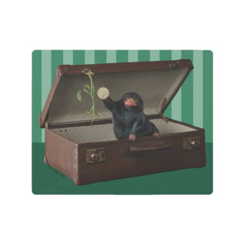 Pickett  Teddy in Briefcase Metal Print