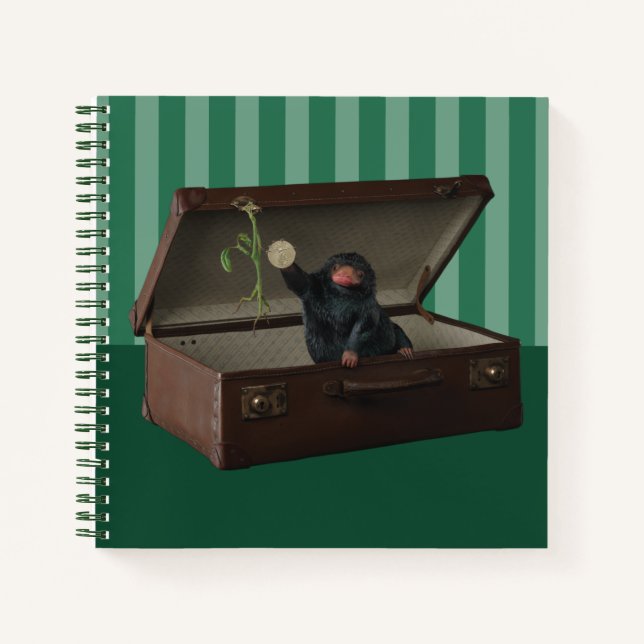Pickett & Teddy in Briefcase Notebook (Front)