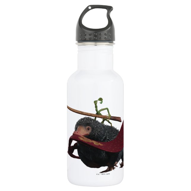 Pickett & Teddy With Wand and Tie Stainless Steel Water Bottle (Front)