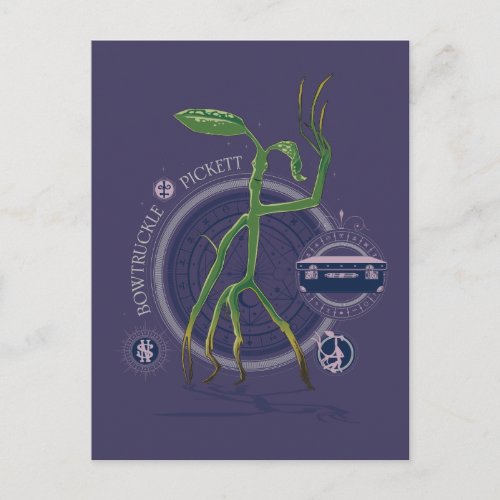 PICKETT The BOWTRUCKLE Graphic Postcard