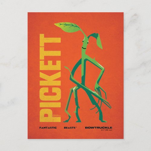 Pickett Vintage Graphic Postcard